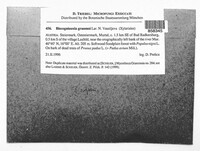 Image Associated With the Occurence